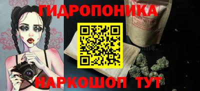 a pvp Гатчина