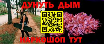 a pvp Гатчина