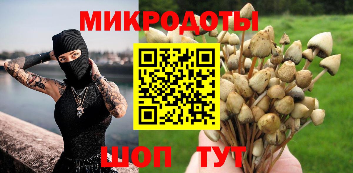 Псилоцибиновые грибы мицелий Лесной